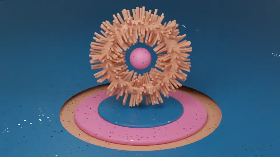 3D Models — 10