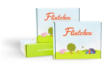 Flintobox — project overview
